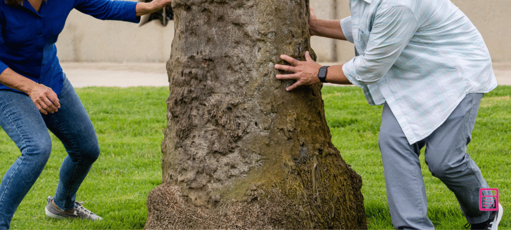 familie ist wie ein baum